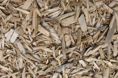 biomass boilers Orton